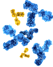 Graphic of standard immune globulins