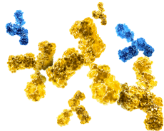 Graphic of hyperimmune immune globulins