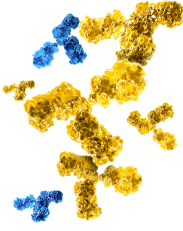 Graphic of hyperimmune immune globulins